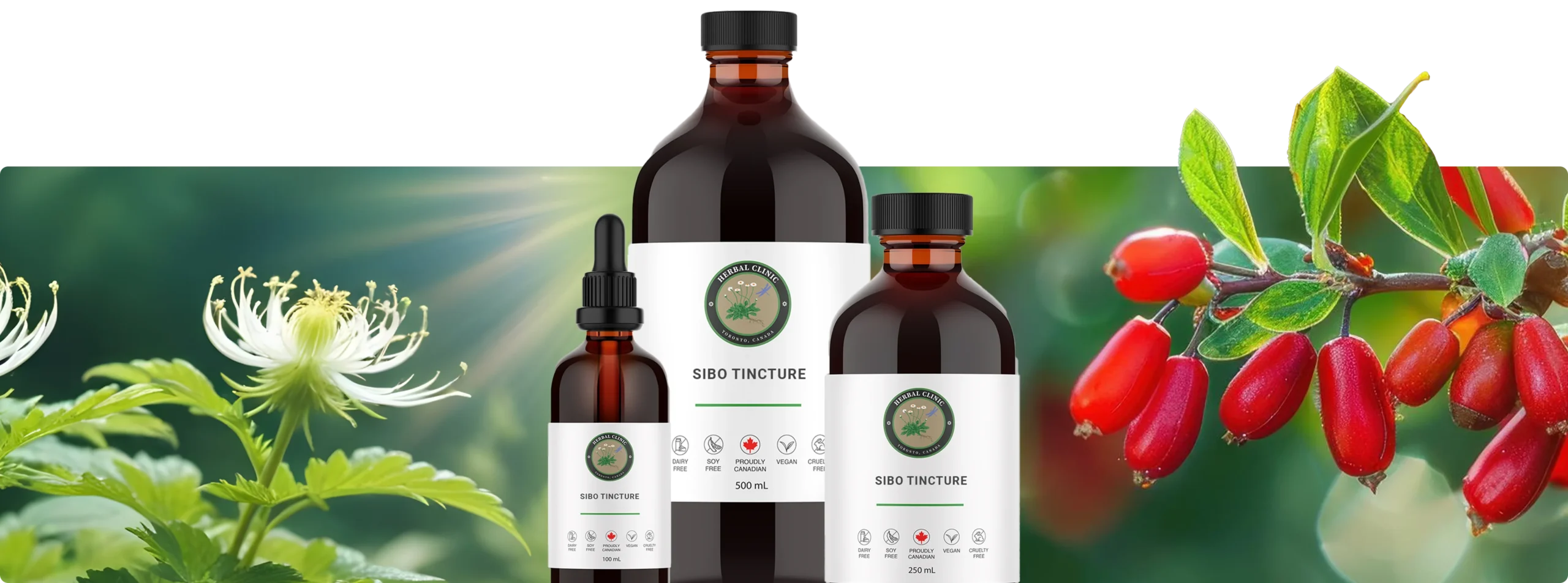 SIBO Tincture