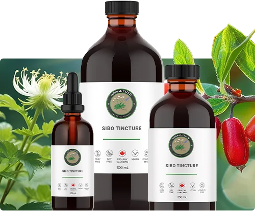 SIBO Tincture