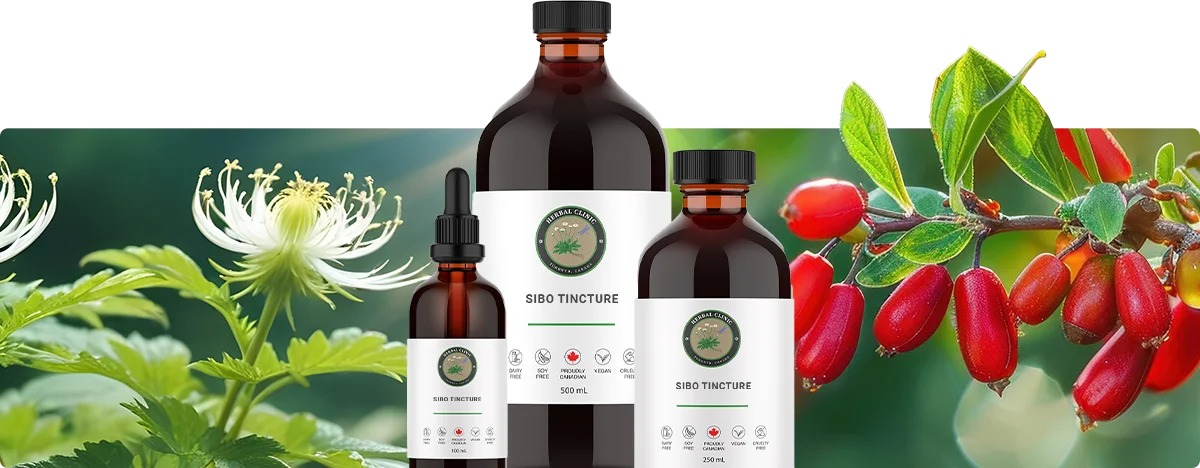 SIBO Tincture