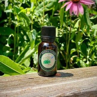 Black Spruce