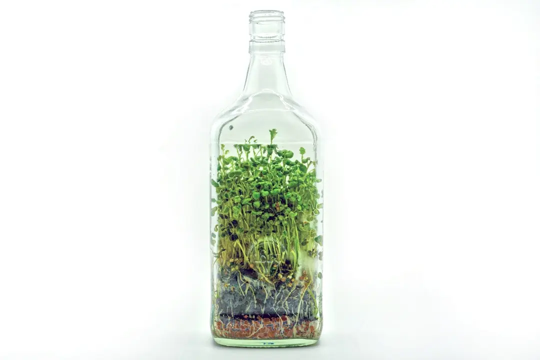 herbal tincture dropper bottle on a natural background