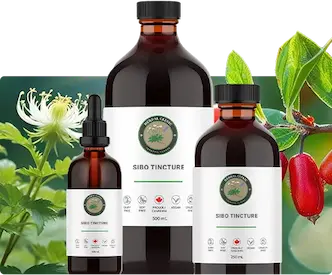 SIBO Tincture