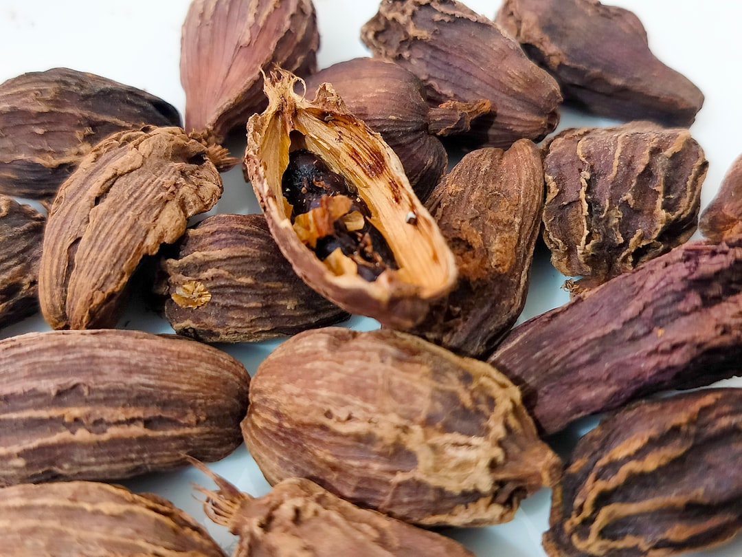 xiang sha liu jun zi tang for digestion herbs cardamom spices traditional medicine