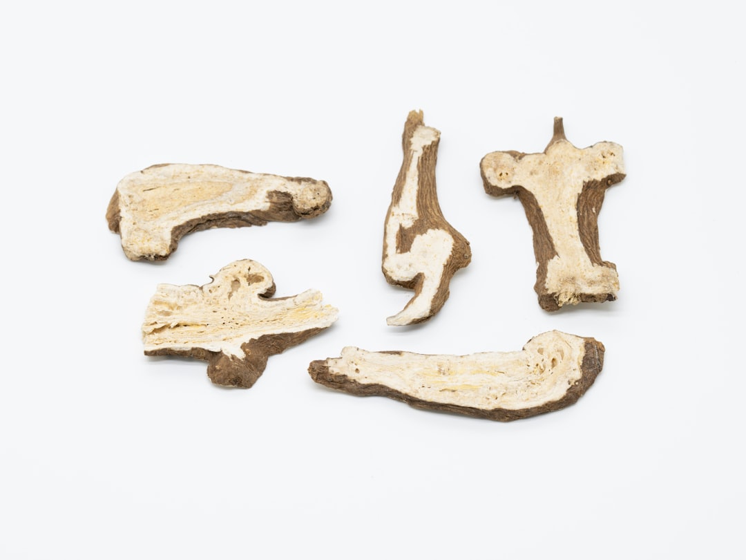 Dried herbal roots used in traditional Chinese medicine tincture preparation