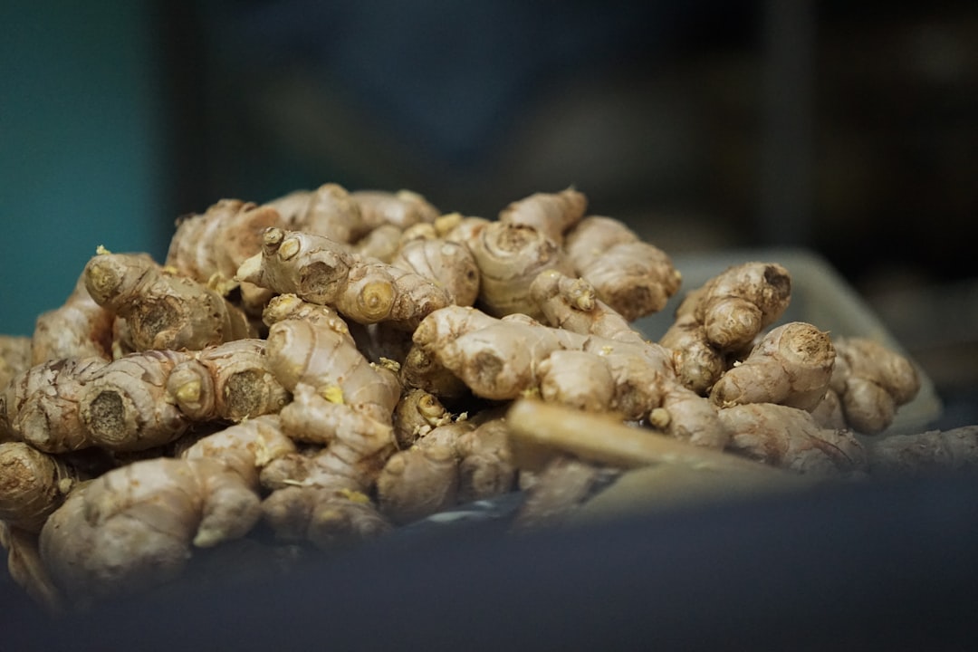 fresh ginger root — Sheng Jiang ingredient in Er Chen Tang