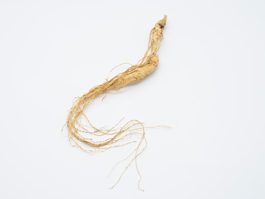 si jun zi tang four gentlemen formula ginseng root traditional chinese herb