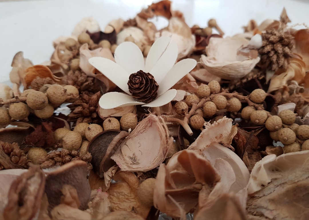 ping wei san for bloating and dampness magnolia flower herb