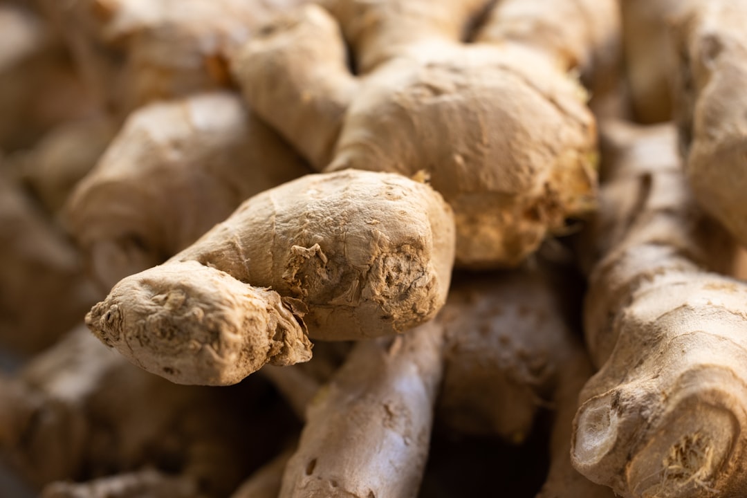 Ginger tincture bottle for digestion and nausea support