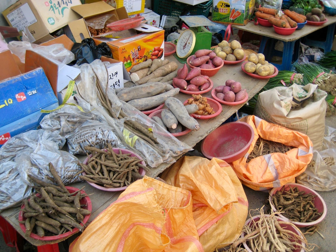 dried roots and Chinese herbs for TCM digestive tincture