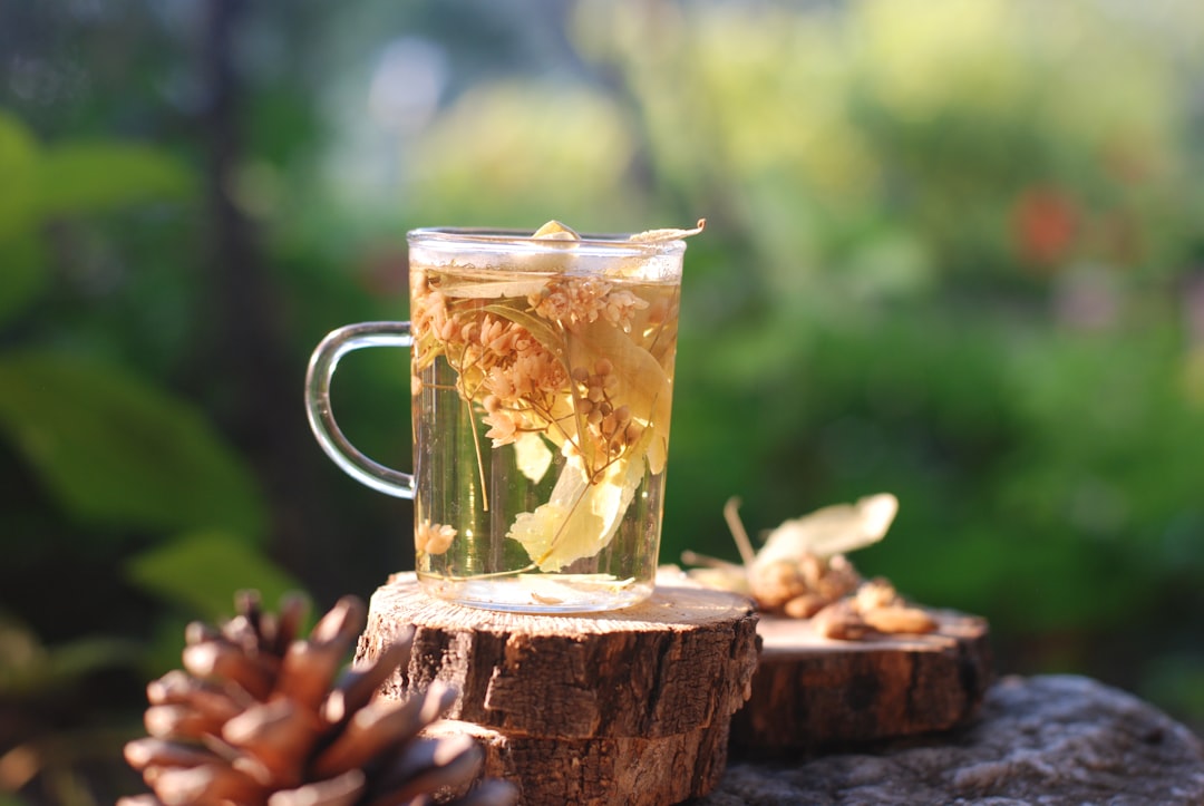 Warm herbal mushroom tea in a glass mug on a wooden log