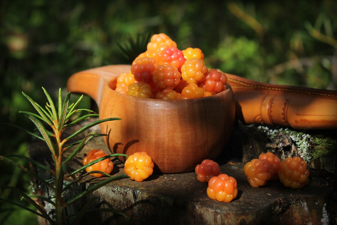 Dried chaste tree berries prepared for hormonal balance support