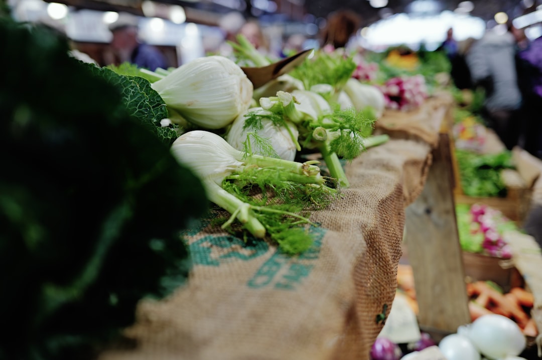Fresh fennel, traditionally used as a carminative herb for bloating