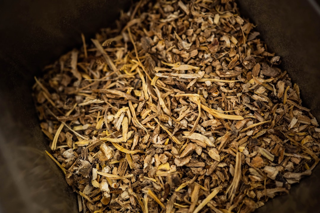 Dried licorice root being prepared as a tea, a common way to use licorice root for digestion