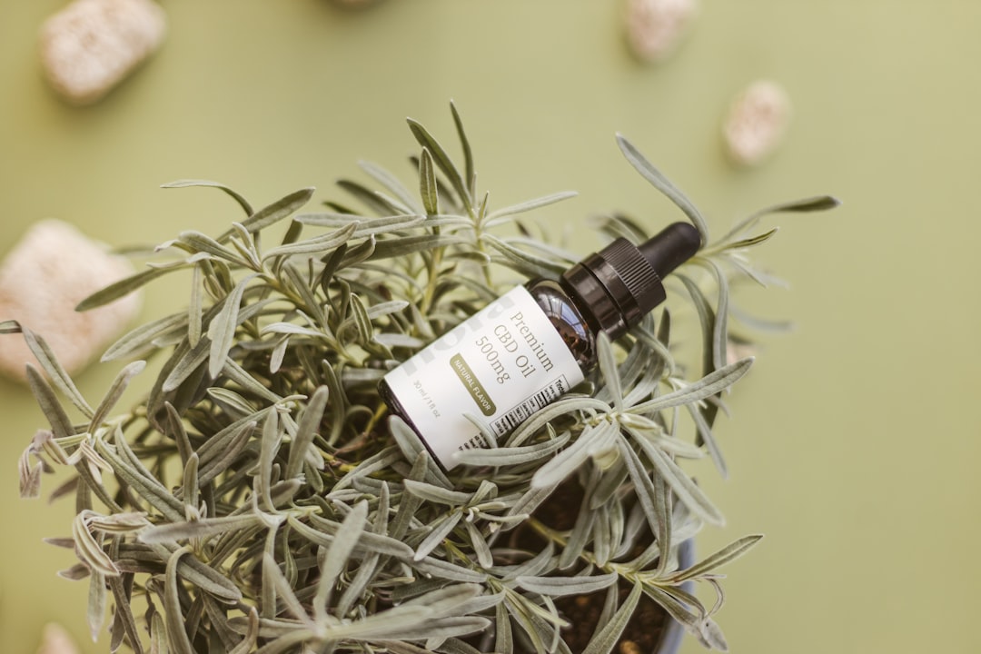 Rosemary tincture bottle for memory and focus support