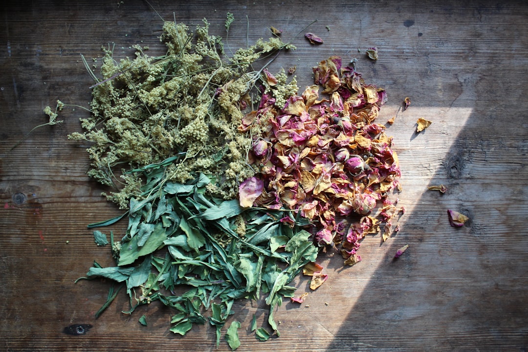Dried herb leaves prepared for wormwood tincture