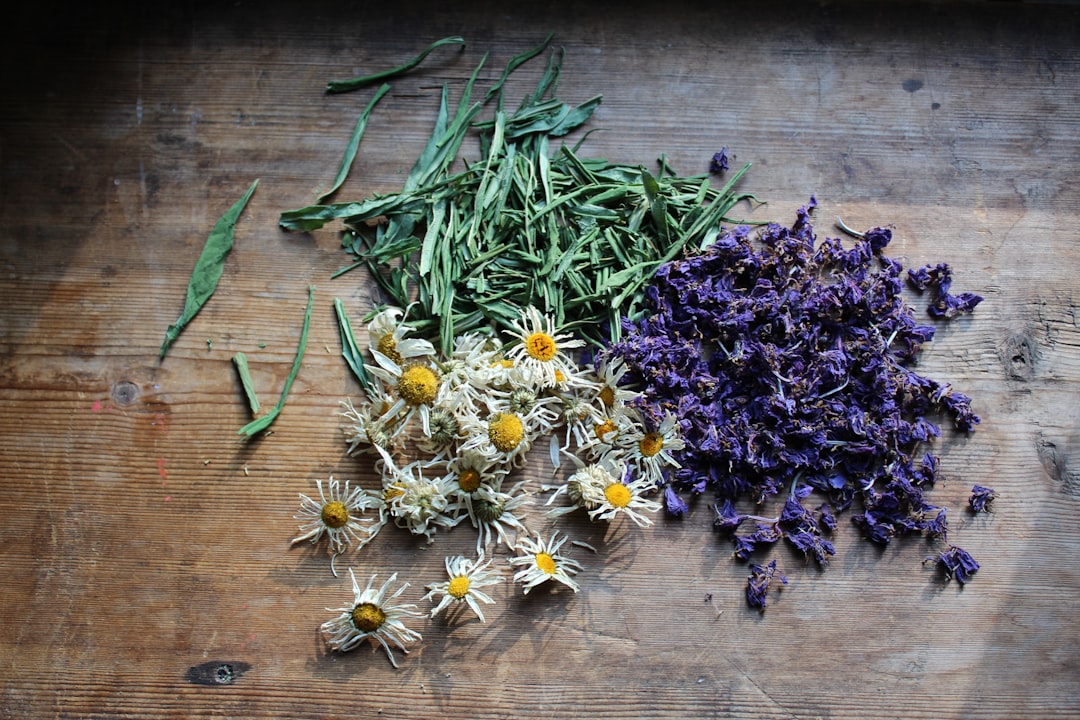 Dried herbs and flowers used to prepare goldenrod tea