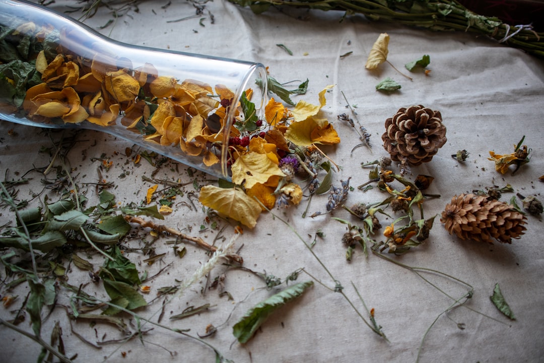 Glass bottle and dried herbs laid out on linen for making a herbal tincture