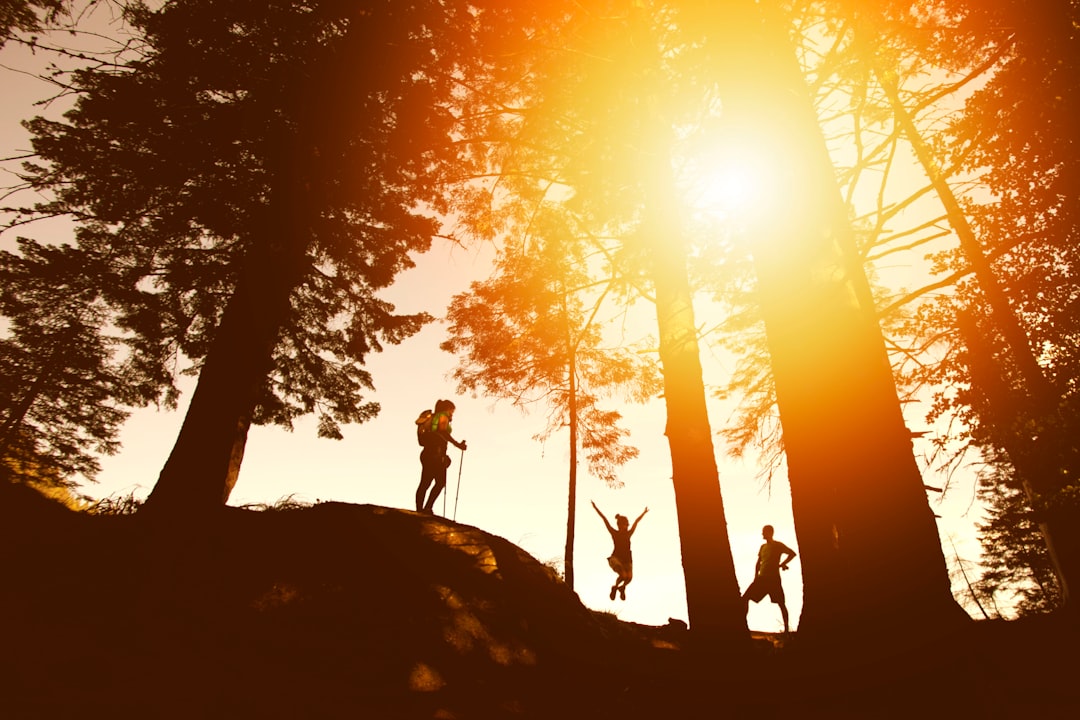 Walkers among tall trees at dawn, stamina and endurance