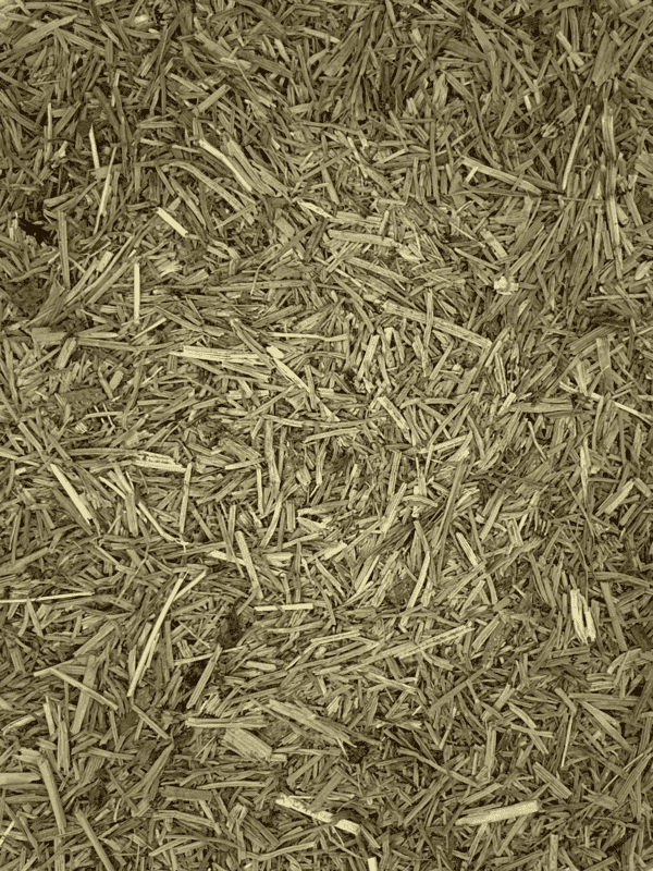 Dried horsetail for hair and nails, Equisetum arvense cut and sifted herb