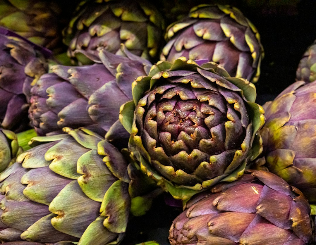 Globe artichoke buds, the plant behind artichoke leaf for digestion