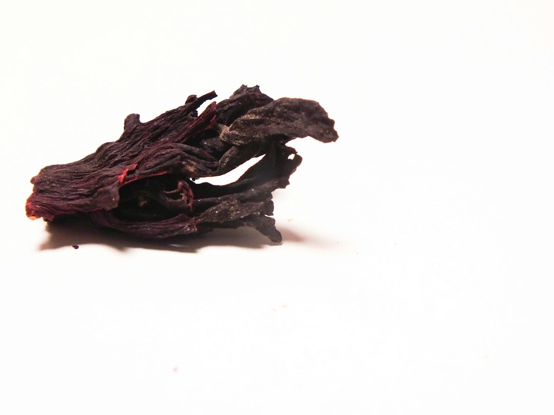 Dried hibiscus calyx ready for brewing tea