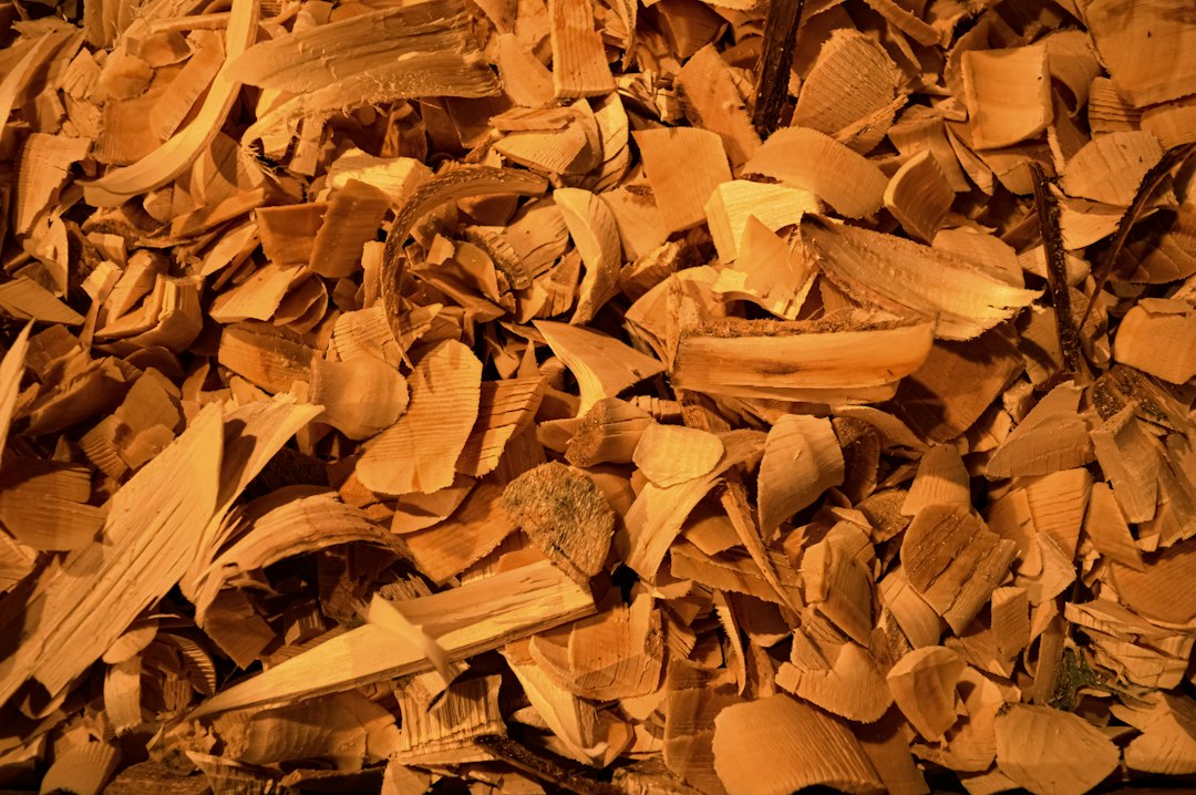 Dried cut bark chips prepared for tea and tincture making