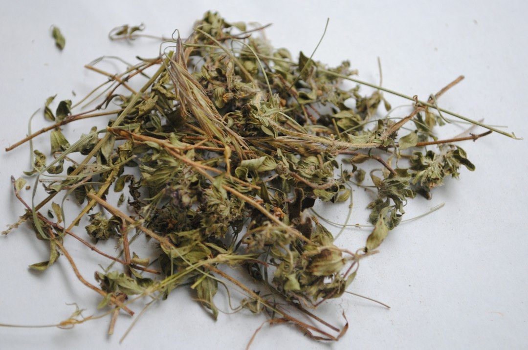 Dried herb leaves and stems ready for tea