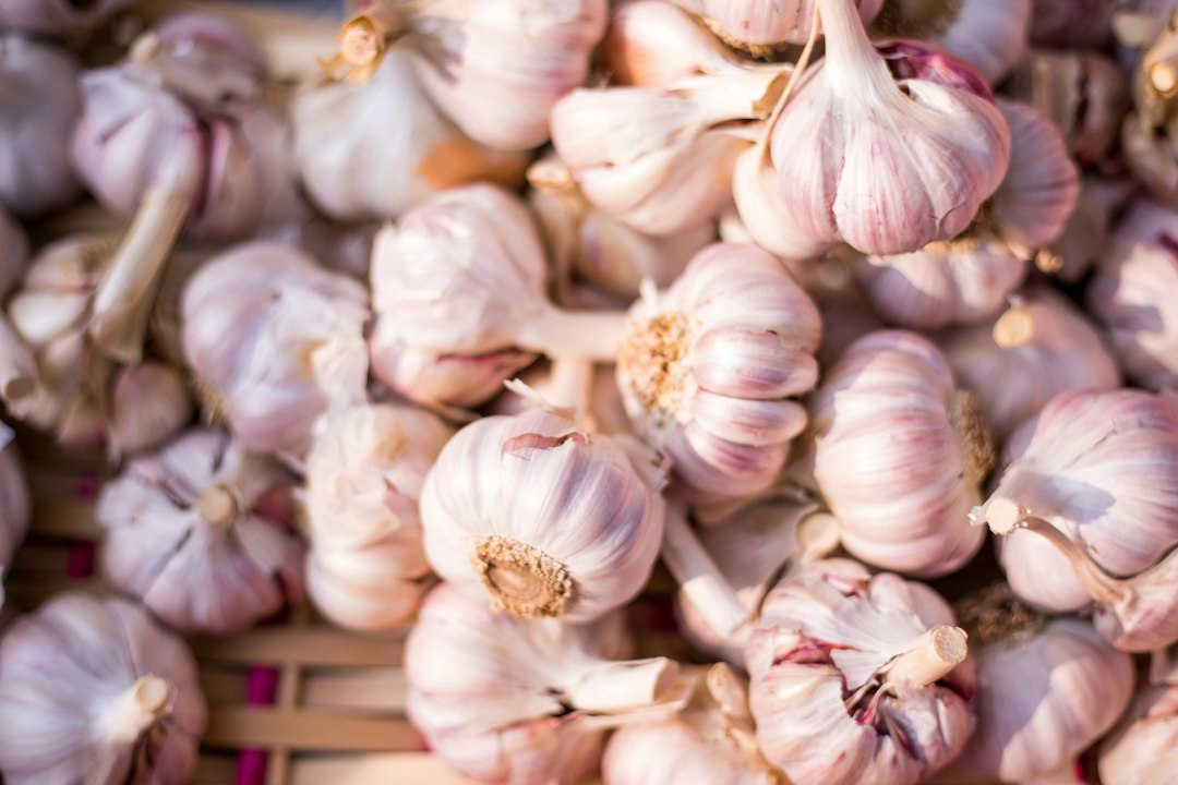 Cured garlic bulbs piled in a basket