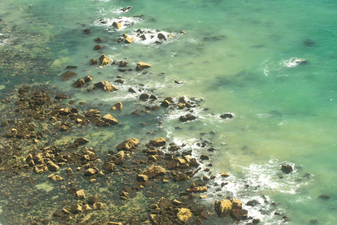 Rocky coastline at low tide where brown seaweed grows
